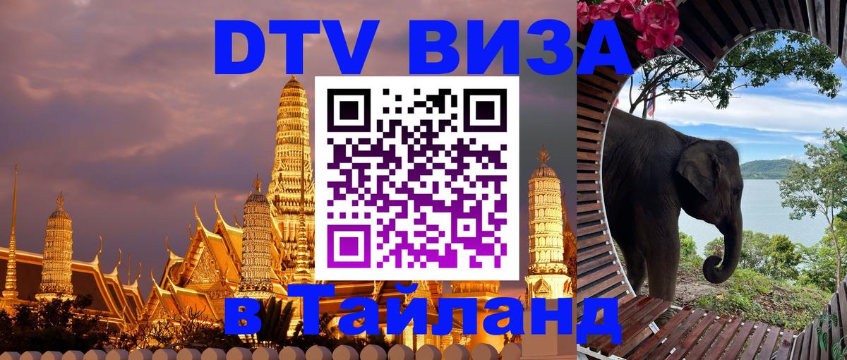 Сколько стоит DTV виза — актуальные цены, оформление даже без документов - Киров 